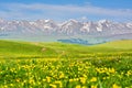 Kalajun Grassland in Xinjiang China