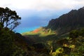 Kalalau Valley Overlook, Kauai (Hawaiian Islands) Royalty Free Stock Photo