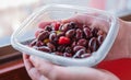 Kalamata or Kalamon purple Greek olives contained in a plastic tray