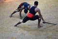 Kalaripayattu martial art, Kerala