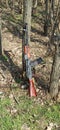 kalashnikov assault rifle ak74n standing at the tree. AK-74