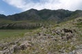 Kalbak-Tash tract, famous for its petroglyphs with images of animals