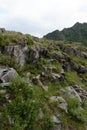 Kalbak-Tash tract, famous for its petroglyphs with images of animals