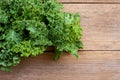 green curly Kale cabbage vegetable Royalty Free Stock Photo