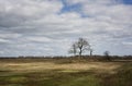 The BalloÃ«rveld in the province of Drenthe Royalty Free Stock Photo