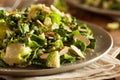 Kale and Brussel Sprout Salad Royalty Free Stock Photo