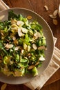 Kale and Brussel Sprout Salad Royalty Free Stock Photo