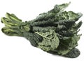 Kale. Royalty Free Stock Photo
