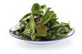 Kale chips Royalty Free Stock Photo