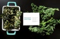 Kale chips with parmesan cheese, vegan paleo diet