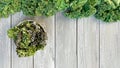 Kale chips, perfect snack, fresh kale leaves wooden background Royalty Free Stock Photo