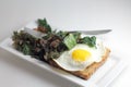 Kale and Egg Toast Royalty Free Stock Photo