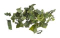 Kale fly fall mid air, green fresh vegetable chinese kale cut chop slice. Organic fresh vegetable with eaten leaf of chinese kale