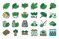 Kale icon set superfood vegetable hand drawn icons Royalty Free Stock Photo