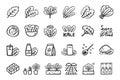 Kale icon set superfood vegetable hand drawn icons Royalty Free Stock Photo