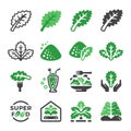 Kale icon set