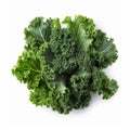 kale isolate ,white background - generative Ai illustration