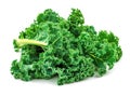 kale isolated on white background