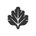 Kale Leaves Icon