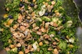 Kale salad in silver salad bowl full frame Royalty Free Stock Photo