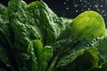 kale, spinach and arugula - generative Ai illustration