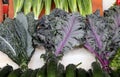 Kale, Swiss chard,  mangold, beet greens, and collard greens as superfood leafy greens Royalty Free Stock Photo