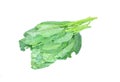 Kale on white background