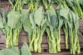 Kale on wood