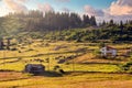 Kaleboynu highland in Ordu, Turkey and herd of cows Royalty Free Stock Photo