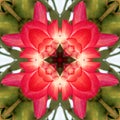 Kaleidoscope Background