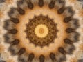 Kaleidoscope in Creme, Light and Dark Brown, Beige, Grey