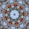 Kaleidoscope in Greyish Blue, Auburn Red, Brown