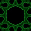 Kaleidoscope guilloche round border frame. bstract mesh background with waves ornament. Illustration