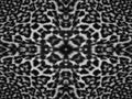 Kaleidoscope Leopard Fur Pattern Royalty Free Stock Photo