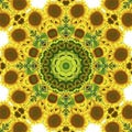 Kaleidoscope with natural motives of sunflowers