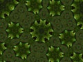 Kaleidoscope pattern with flower-shaped figures, floral theme in green