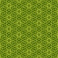 Kaleidoscope pattern used and motivated with green barley