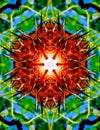 Hexagon Strange Dry Plants Kaleidoscope Design