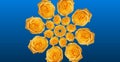 Kaleidoscope of yellow roses on a blue background. Delicate, colorful flowers in the form of a kaleidoscope