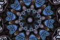 Kaleidoscopic dried flowers pattern Royalty Free Stock Photo