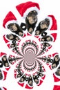 Kaleidoscopic Pattern of a Dog