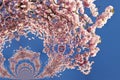 Kaleidoscopic Pattern of a Magnolia Tree