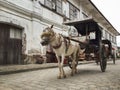 A Kalesa (or Horse Carriage) in Historic Town of Vigan. Royalty Free Stock Photo