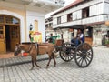 Kalesa (or Horse Carriage) in Historic Town of Vigan. Royalty Free Stock Photo