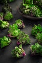 Kalette, kale sprouts, flower sprouts on black background. Heathy winter vegetable