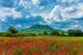 The Kali basin near to Badacsony, Hungary Royalty Free Stock Photo