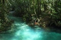 Kali biru Warsambin - Blue River in Raja Ampat Royalty Free Stock Photo