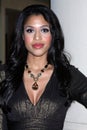 Kali Hawk Royalty Free Stock Photo