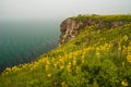 Kaliakra Cape, Bulgaria Royalty Free Stock Photo