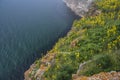 Kaliakra Cape, Bulgaria Royalty Free Stock Photo